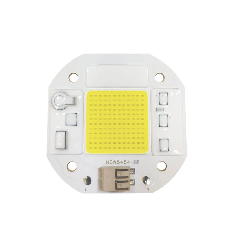 LED COB 30W 220V